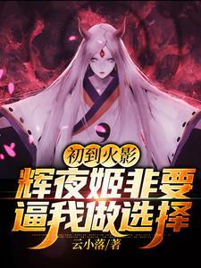 辉夜姬火影忍者第几集