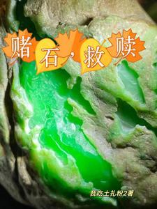毛料什么意思